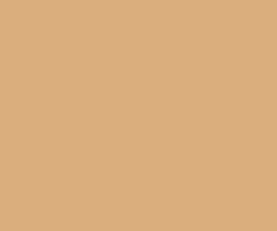 Lastolite 9025 2,72X11M. Paper Sandstone